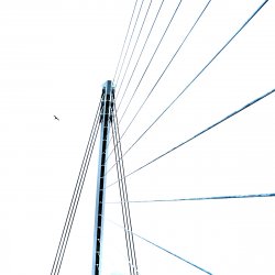 Beckett Bridge and Bird