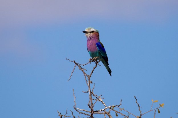 Bildergalerie Natur